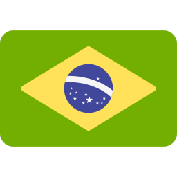 brasil's flag
